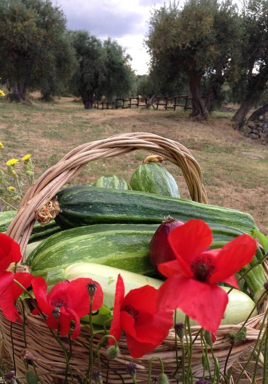 Agriturismo Prati Degli Orti Montiano  Eksteriør bilde