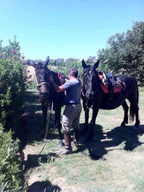Agriturismo Prati Degli Orti Montiano  Eksteriør bilde