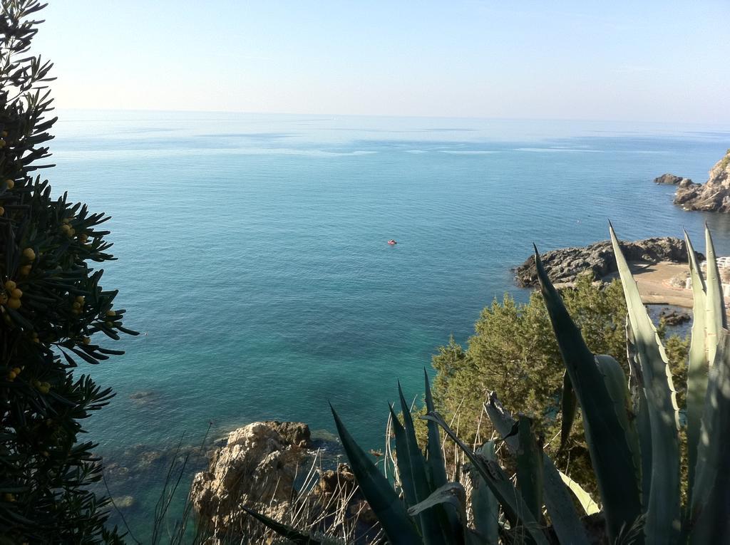 Agriturismo Prati Degli Orti Montiano  Eksteriør bilde