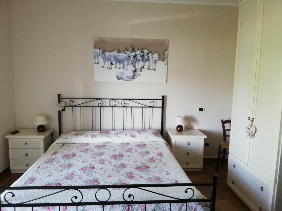 Agriturismo Prati Degli Orti Montiano  Eksteriør bilde