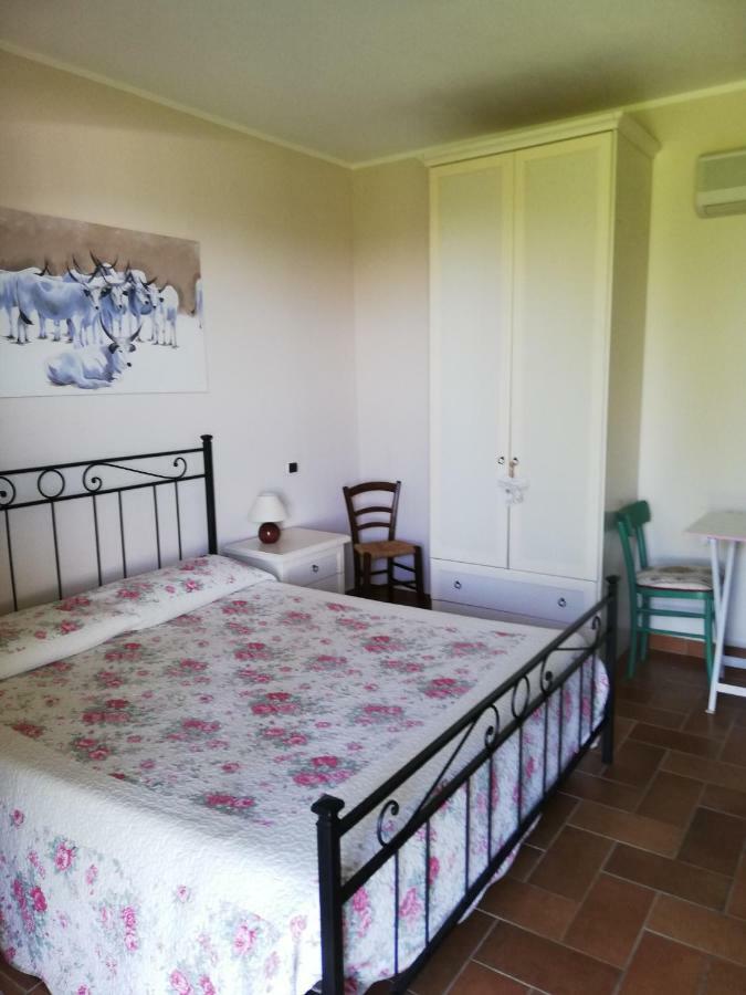 Agriturismo Prati Degli Orti Montiano  Eksteriør bilde